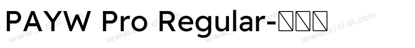PAYW Pro Regular字体转换 PAYW Pro Regular字体转换